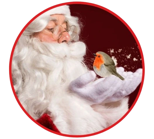 Santa Icon