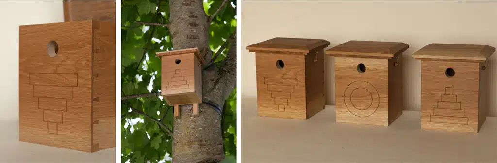 siamsa-bird-boxes