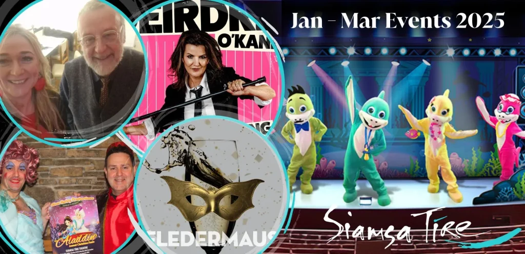 Collage of Jan-Mar 2025 events at Siamsa Tíre theatre Tralee, with vibrant performers on stage.