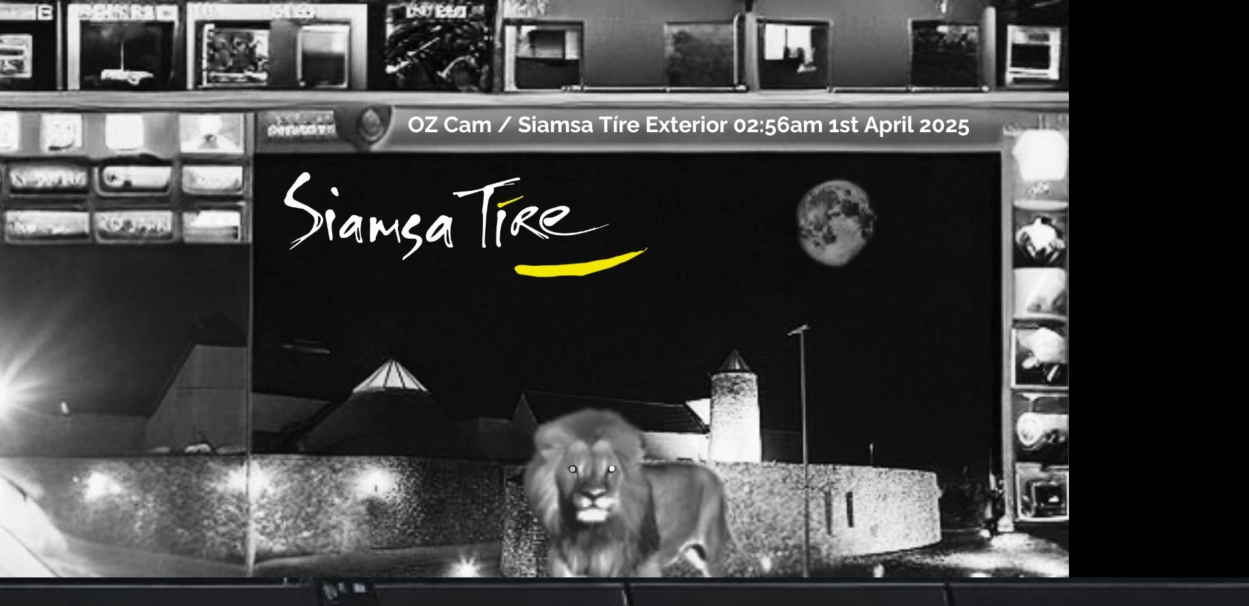 A lion stands before Siamsa Tíre theatre Tralee at night beneath a full moon.