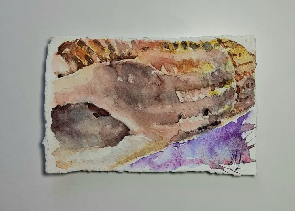 Watercolor of bread on textured paper, inspired by Siamsa Tíre traditional Irish arts performances.