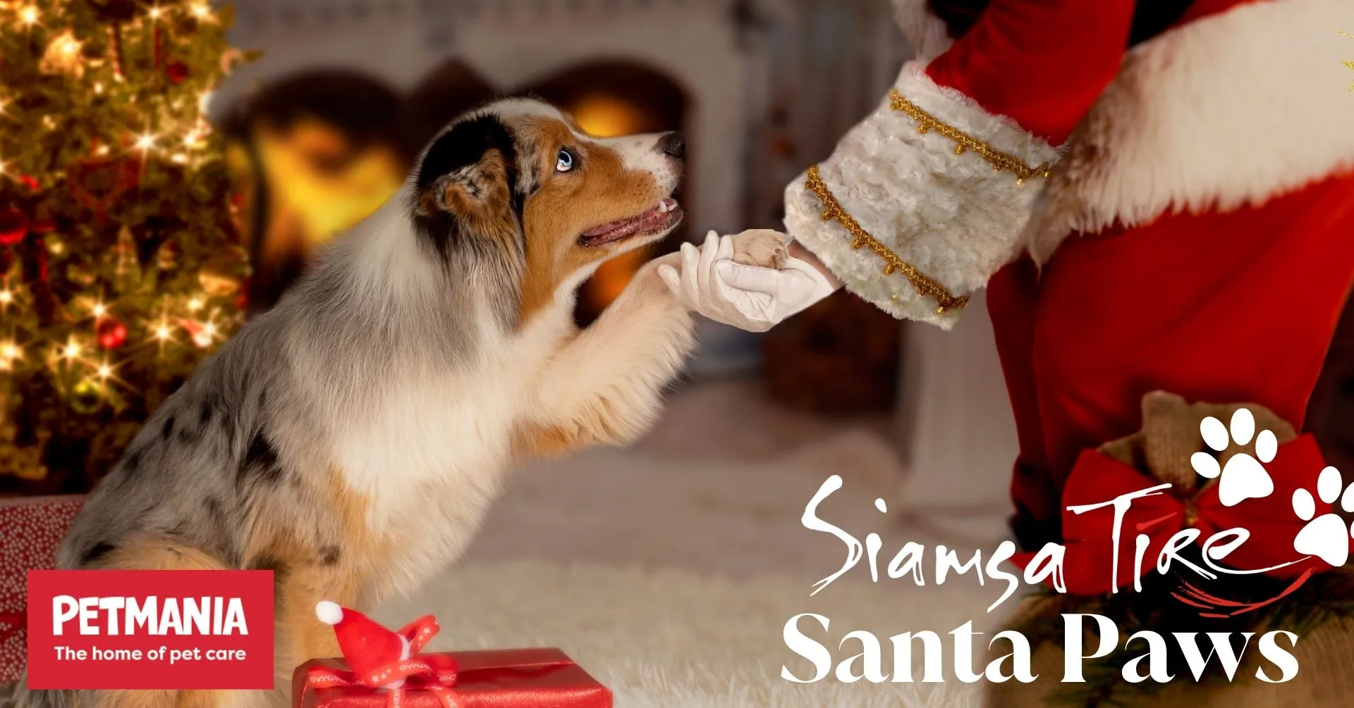 Santa Paws 2026🐾