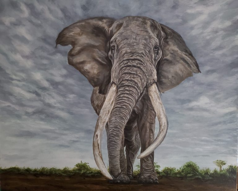 A large elephant with long tusks stands on grass near the Arts Centre Tralee Kerry.