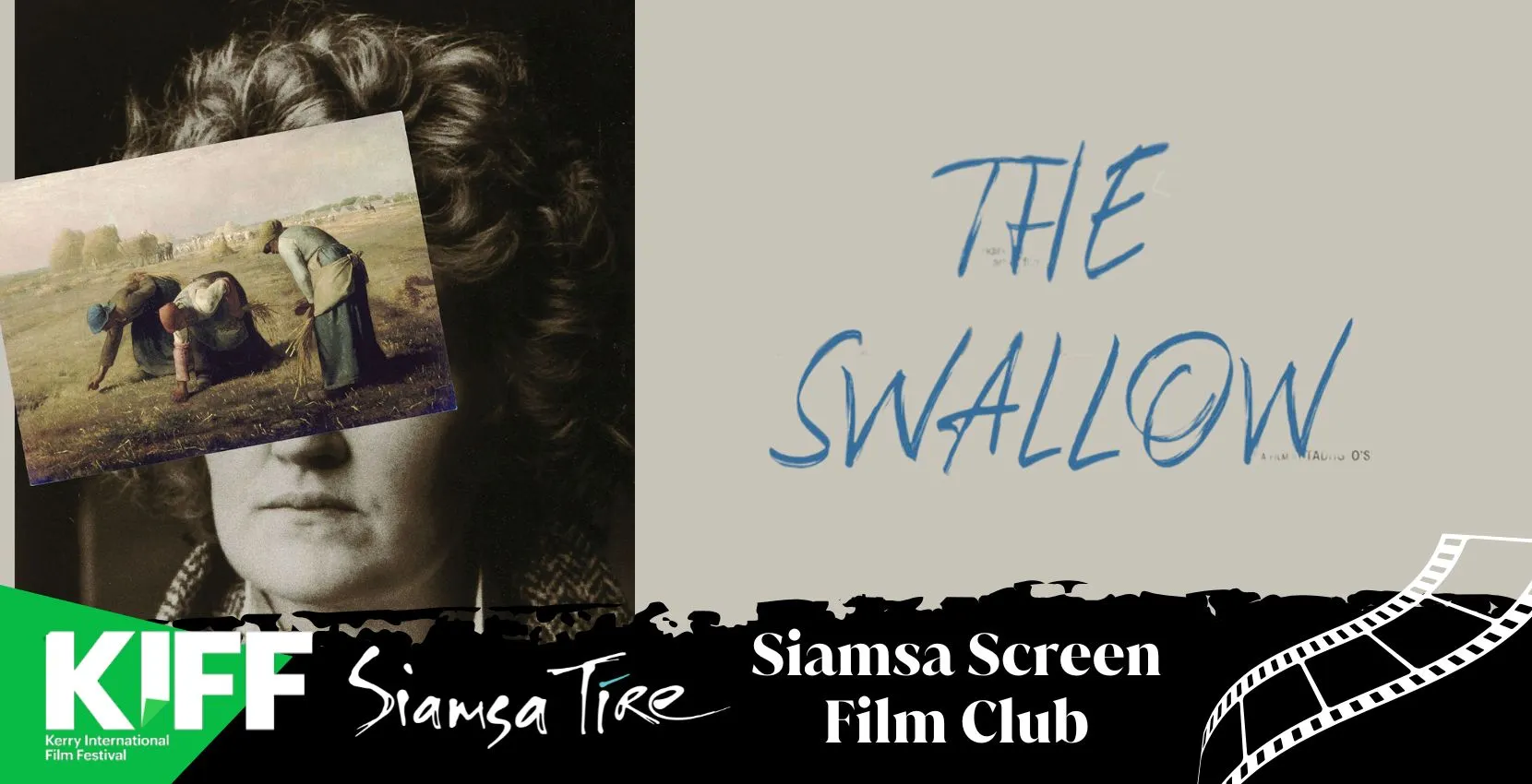 Movie: The Swallow – Siamsa Screen Film Club