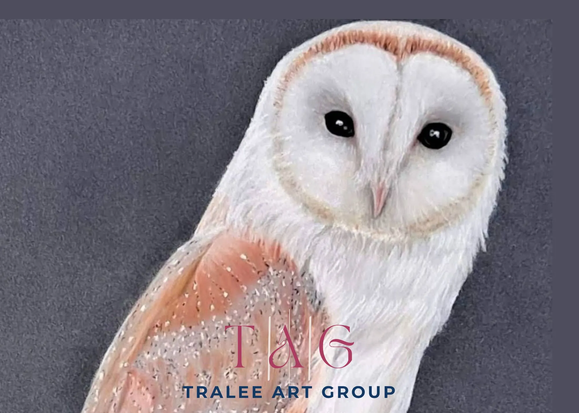 Painting of a brown and white owl. Logo text "Tralee Art Group"